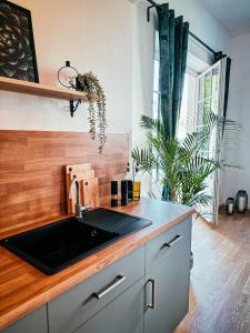 cocina con fregadero y encimera de madera en Oasis Appart - Wohnen im Königspark - Elbhang Dresden - große Terrasse - Netflix - TG en Dresden