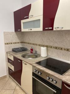 Kuhinja ili čajna kuhinja u objektu Apartman NS Dan CENTAR