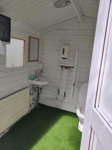 a bathroom with a toilet and a sink at Iceland Igloo Village in Hella