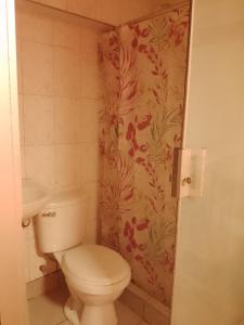 y baño con aseo y cortina de ducha. en hostal ollantaytambo apartments en Ollantaytambo