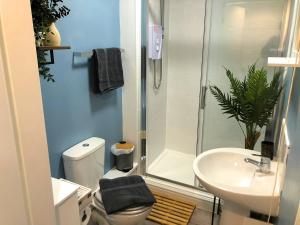 a bathroom with a shower and a toilet and a sink at Bank Street Apartment 4 in Blackpool