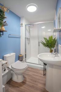 uma casa de banho com um WC, um lavatório e um chuveiro em Bank Street Apartment 4 em Blackpool