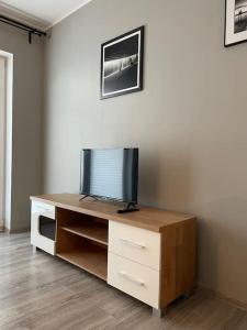 克拉科夫的住宿－Vetulaniego Canary Comfort Apartment，木头娱乐中心上方的电视机