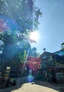 a view of the sun shining through a tree at Pousada Naturale in Trindade +25 photos