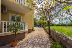 Zahrada ubytování Apartments Vesna