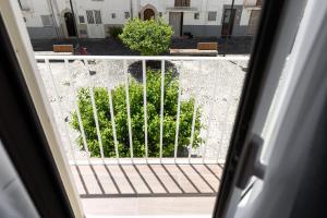 Blick auf den Garten aus dem Fenster in der Unterkunft Sapore di Mare al Borgo in Gaeta