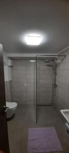 Koupelna v ubytování Apartman Cergolj + 24 fotografií