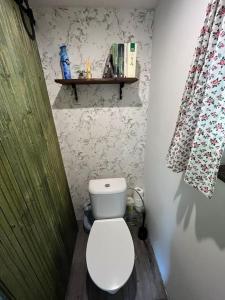 a bathroom with a toilet and a shelf on the wall at Chata pod pindulou in Rožnov pod Radhoštěm