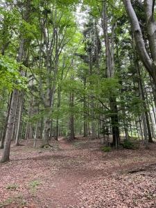 Paesaggio naturale nelle vicinanze della casa vacanze