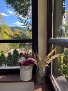 Vista generica sulle montagne o vista sulle montagne dall'interno della casa vacanze