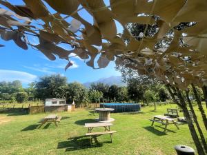 科尔特La Cabane de Mercone MELU的一个带野餐桌和消防栓的公园