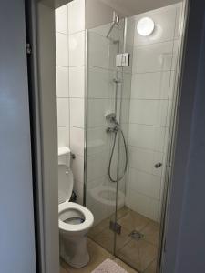 uma casa de banho com um WC e uma cabina de duche em vidro. em City Apartment Nord em Salzburgo