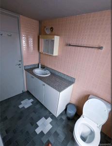 ein Bad mit einem WC und einem Waschbecken in der Unterkunft City center 3 bedroom apartment in Nikosia