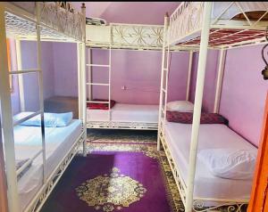 um quarto com 4 beliches com paredes roxas em Hostel Marrakech Rouge em Marrakech