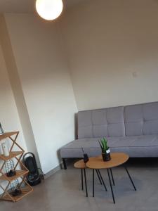 a living room with a couch and a table at MAT FLAT - 20 minutes à pieds des Ardentes ou 4 minutes en voiture in Liège