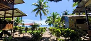 - Vistas a la playa desde un complejo con palmeras en Cabañas las perlas en Bahía Solano