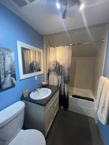 uma casa de banho com um lavatório, um WC e um chuveiro em Blaeberry Valley Vacation Rentals em Golden