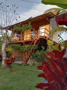 uma casa de madeira com uma escada de madeira que leva até ela em Jungle House - surf & stay em Pulukan