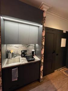 - une cuisine avec un évier et un comptoir dans l'établissement Central & Functional Studio Riga, à Riga