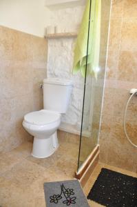 a bathroom with a toilet and a shower stall at Secluded holiday house Stokic Pod, Velebit - 21524 in Jablanac