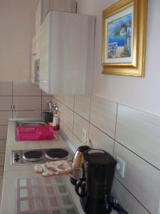 Kuchyň nebo kuchyňský kout v ubytování Apartments Cico