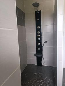 eine Dusche im Bad mit Duschkopf in der Unterkunft Jolie villa 20min de Lourdes in Asson