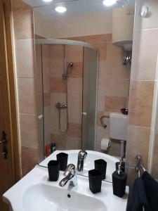 een badkamer met een wastafel en een douche bij Lovely apartment Morje - Koper old town in Koper