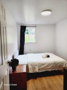 - une chambre blanche avec un lit et une fenêtre dans l'établissement Beautiful Maple ridge farm cabin unit A, à Maple Ridge