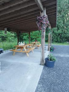 Deux tables de pique-nique dans un pavillon avec une composition florale dans l'établissement Beautiful Maple ridge farm cabin unit A, à Maple Ridge