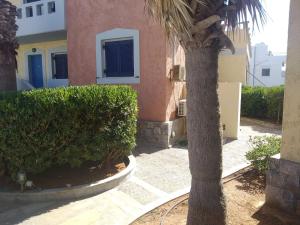 a palm tree in front of a house at Niros Beachfront Aparthotel in Kokkíni Khánion