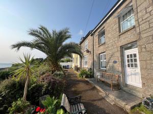 a building with two benches and a palm tree in front of it at Lookout Cottage in Penzance