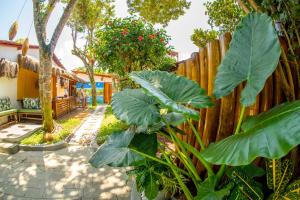 un patio trasero con una valla y una planta en Pousada NÔ Caraíva, en Caraíva