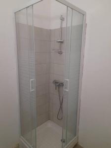 法蘭斯堡的住宿－Appartement T3 Cœur De Ville Patio，浴室内带玻璃淋浴间