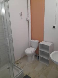 a bathroom with a toilet and a sink at Appartement T3 Cœur De Ville Patio in Fort-de-France