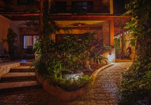 a house with a bunch of plants in a courtyard at Aluxes Bacalar in Bacalar +10 photos