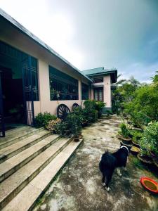 Czarny pies stojący przed domem w obiekcie Namdang Homestay w mieście Sibsāgar