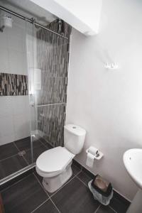 W łazience znajduje się toaleta, prysznic i umywalka. w obiekcie CASA SANTA CIRCASIA w mieście Circasia