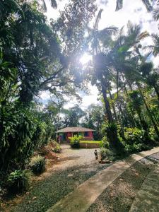 Elle offre une vue sur une cour avec des palmiers et une maison. dans l'établissement Hotel Jussara Cultural - Joinville, à Joinville