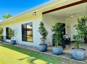 a house with three potted trees in front of it at Home in mission beach in Mission Beach