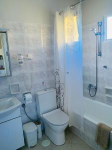 uma casa de banho com um WC, um chuveiro e um lavatório. em Irene Villas em Arillas