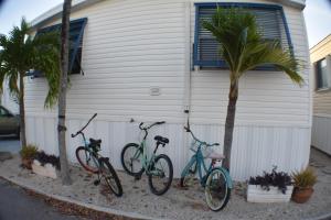 Cudjoe Key的住宿－Pelican's Roost, Waterfront comfort at Venture Out，三辆自行车停放在棕榈树建筑旁边
