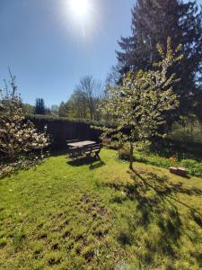 een picknicktafel in een tuin met een boom bij Alte Forsterei in Altenbrak