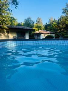 a swimming pool with blue water in front of a house at Fuk-tak's bungalow in Star Dojran