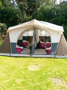 ein Zelt im Gras auf einem Feld in der Unterkunft SOFA CAMP NAIVASHA in Naivasha