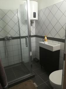 een badkamer met een douche, een wastafel en een toilet bij Kossuth téri Nopara STUDIO apartman in Tiszafüred