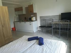 Billede fra billedgalleriet på Kossuth téri - második emeleti - Nopara STUDIO apartman i Tiszafüred