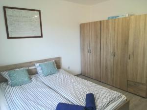ティサフュレドにあるKossuth téri Nopara STUDIO apartmanのベッドルーム1室(ベッド1台付)、木製キャビネットが備わります。