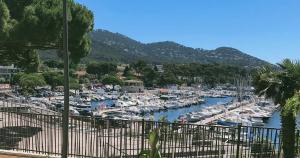 a harbor filled with lots of boats in the water at Charmant F3 lumineux proche plage et vue mer à Carqueiranne in Carqueiranne