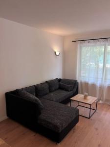 sala de estar con sofá y mesa de centro en Apartment Mahira im Luftkurort Schindeldorf, en Stromberg