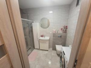 W łazience znajduje się toaleta, umywalka i prysznic. w obiekcie apartament MT2 bursztynowe osiedle w mieście Jantar